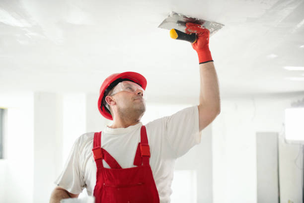 Best Stucco Painting  in Enumclaw, WA